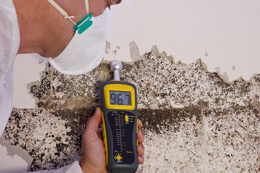 home inspector close up inspecting mold at house wall interiors lake ozark mo