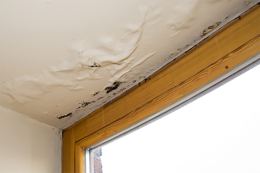 residential property interiors ceiling close up with mold damage lake ozark mo